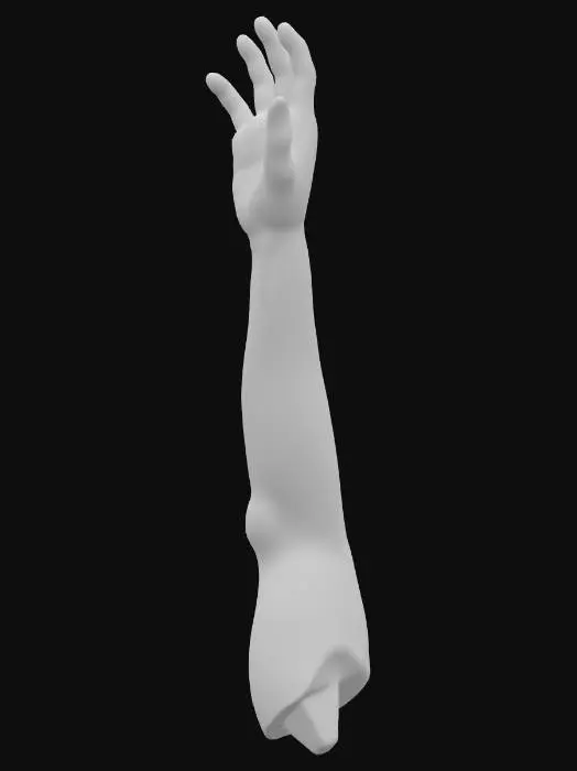3D model for detailierte und natürliche menschliche weibliche Hand mit 5 Fingern und mit Arm bis zum Ellenbogen