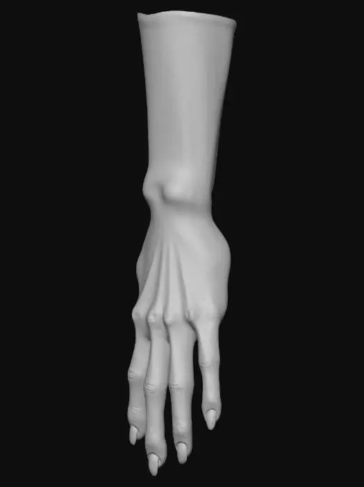 3D model for detailierte und natürliche menschliche weibliche Hand mit 5 Fingern und mit Arm bis zum Ellenbogen, keine Falten, glatte Oberfläche