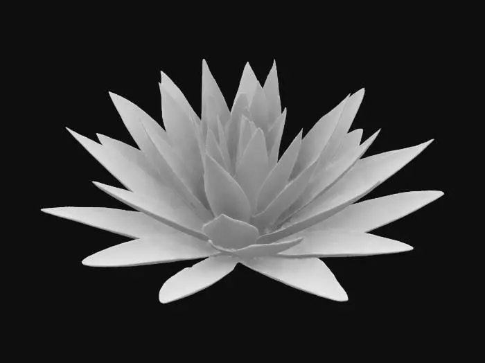 3D model for agave plant