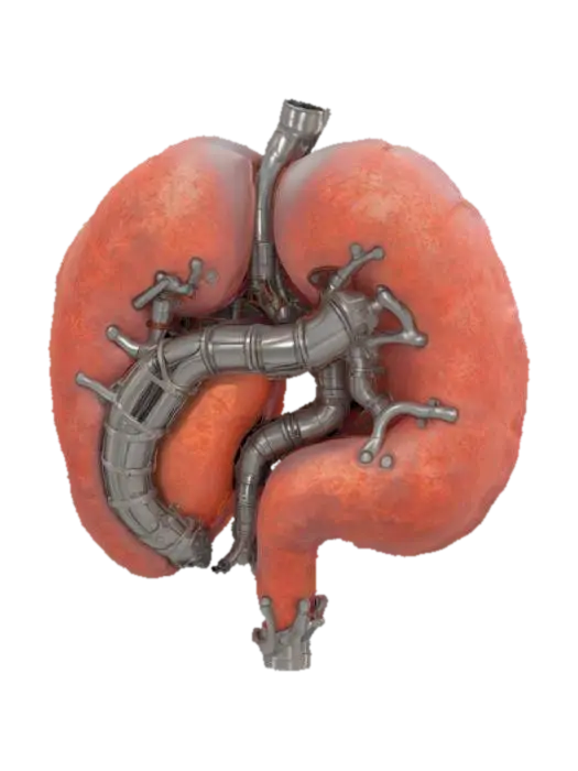 Design a hyper-realistic cybernetic organ, combining advanced biotech and… - Synthetic 3D model, vytvořený pomocí AI