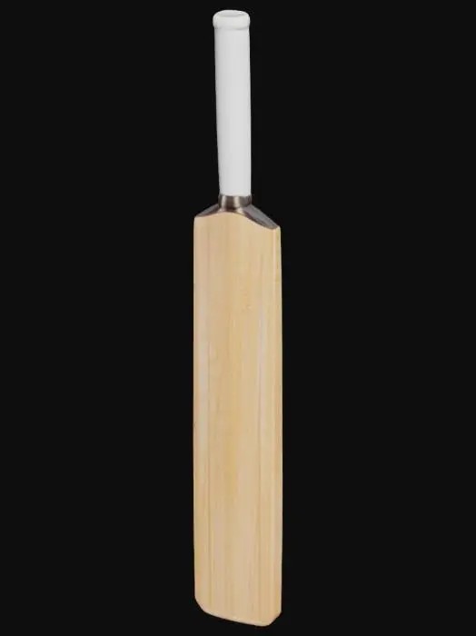 3D model for Cricket Blade