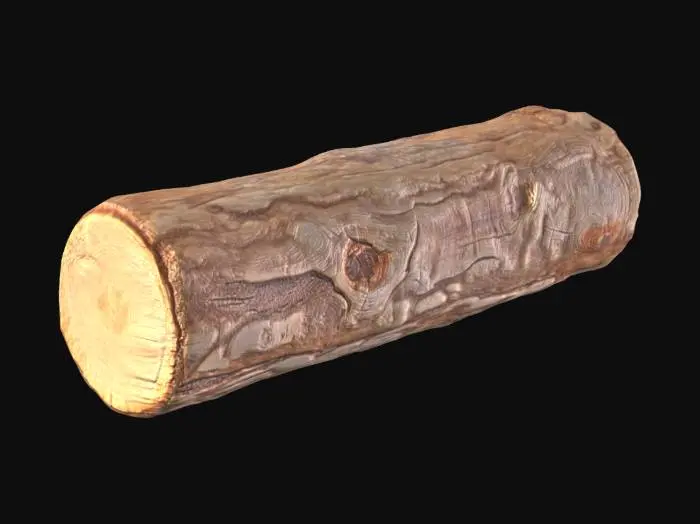 3D model for Log Slice