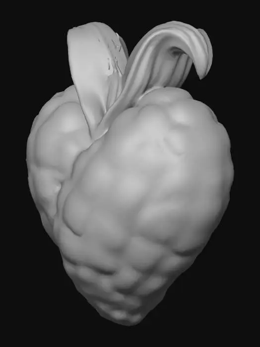 3D model for Heart of Corn, #Thanksgiving#