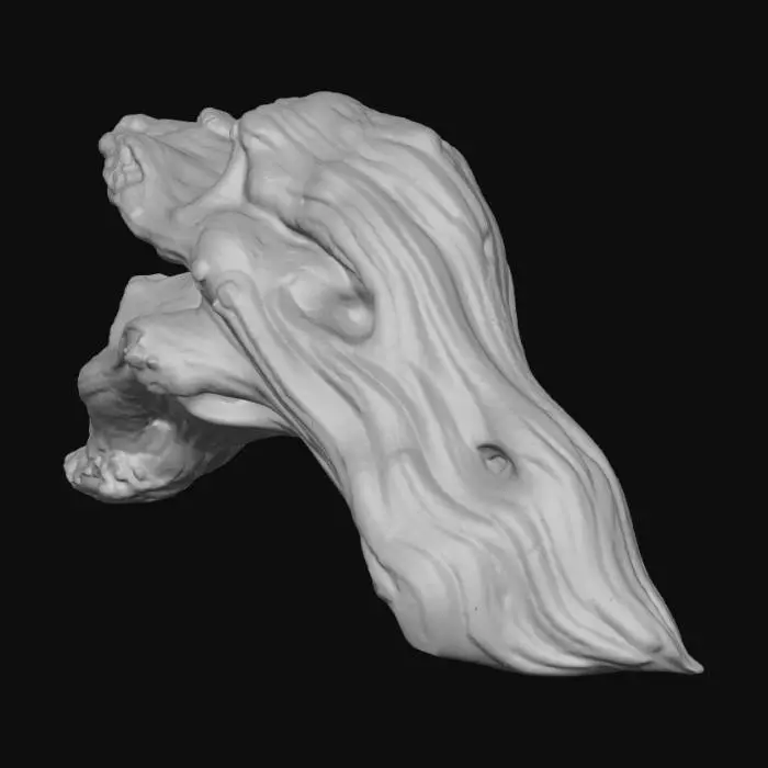3D model for Driftwood Elegance