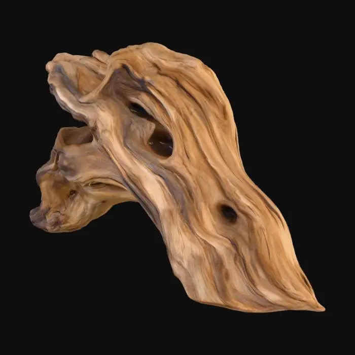 3D model for Driftwood Elegance