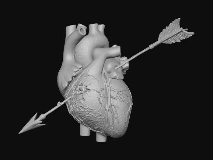 3D model for An inside out human heart with an arrow through it.