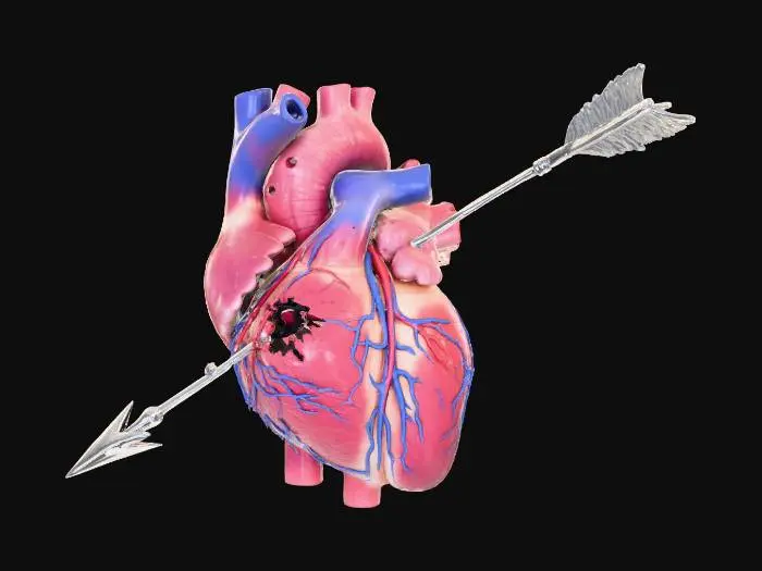 3D model for An inside out human heart with an arrow through it.