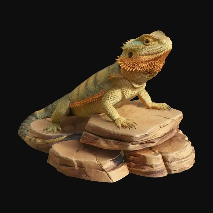 3D model for Bearded Dragon on a Rock Stack
