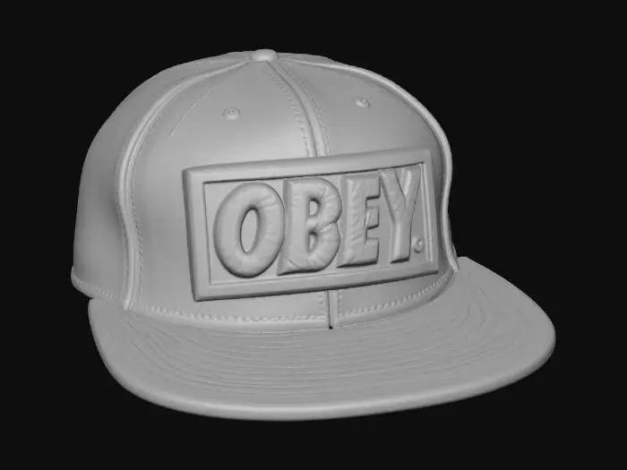 3D model for Obey Cap with Leopard Print Brim