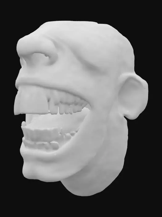 3D model for Realistic teeth with gums, open mouth. 