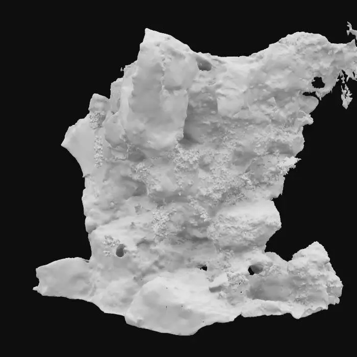 3D model for Ancient Lichen Canvas