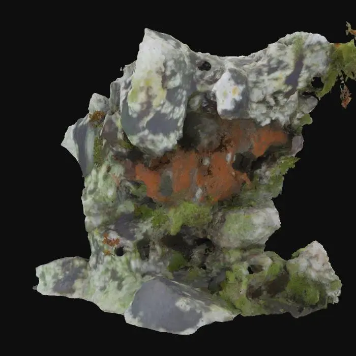3D model for Ancient Lichen Canvas