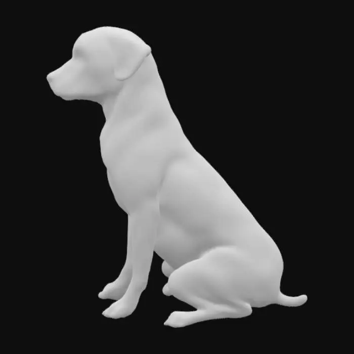 3D model for Labrador in the Meadow