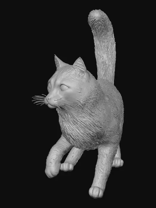 3D model for model this cat 3D