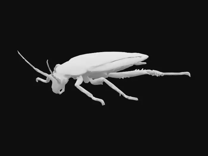 3D model for RoachNew