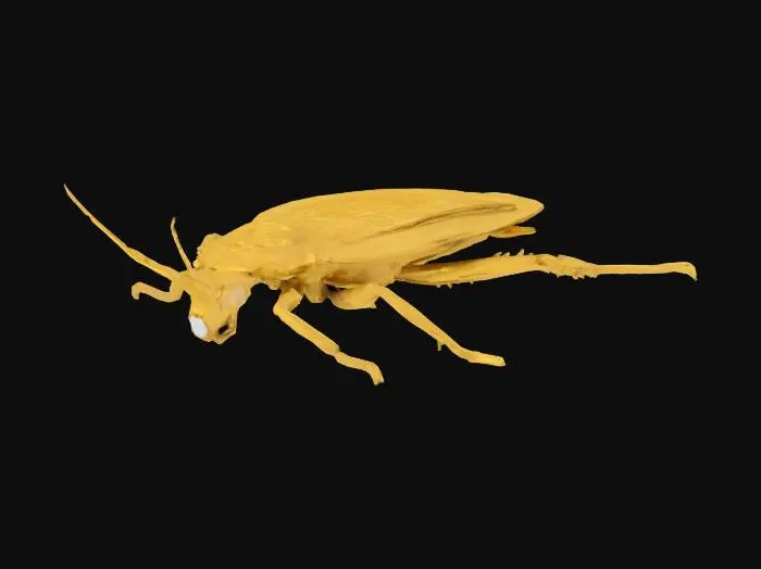 3D model for RoachNew