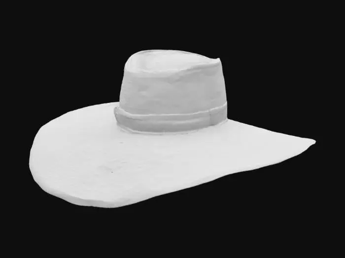 3D model for Sombrero Elegante