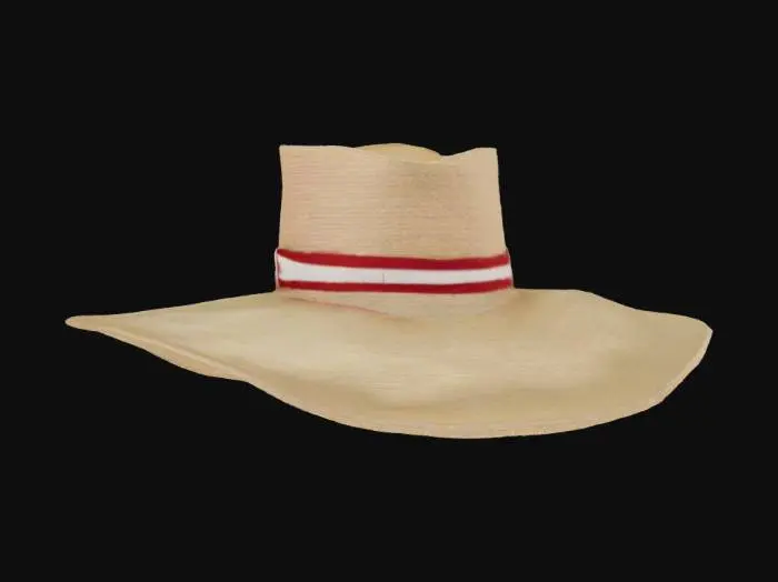 3D model for Sombrero Elegante