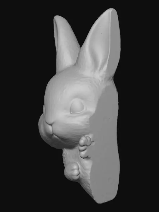 3D model for Peekaboo Bunny