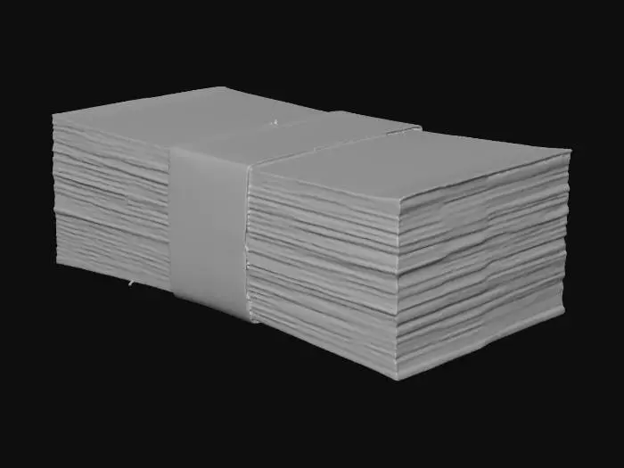 3D model for Stack of Wealth