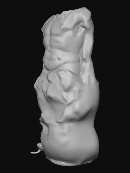 3D model for Ancient Stone Torso