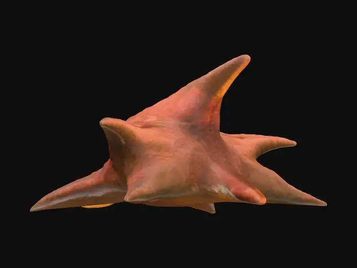3D model for The StarFish