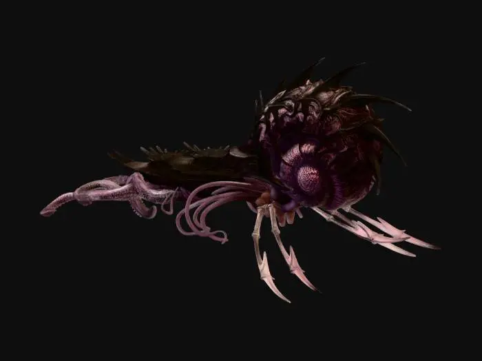 3D model for Nautiloid 2