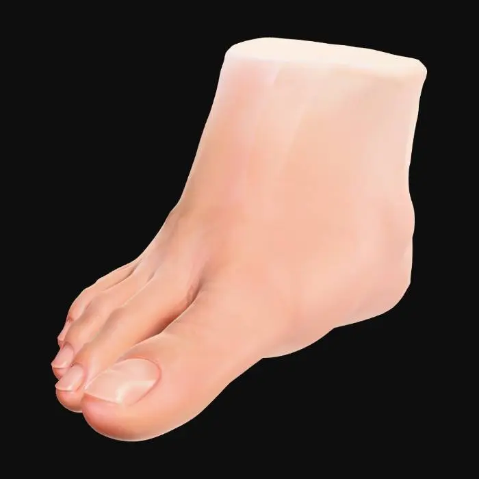 3D model for Blue Backdrop Toe Close-Up