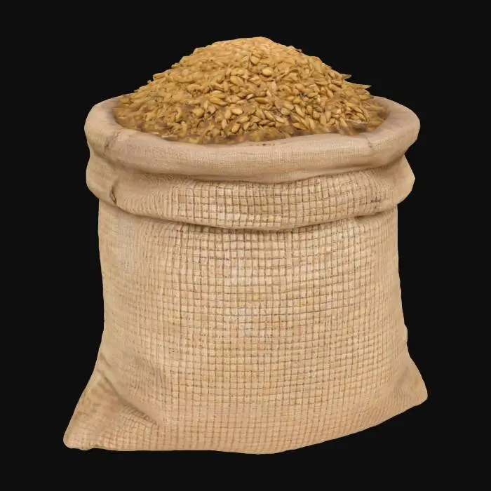 3D model for Sack of Grain