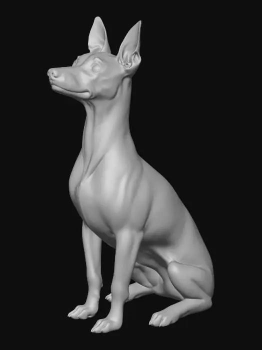 3D model for Zoe