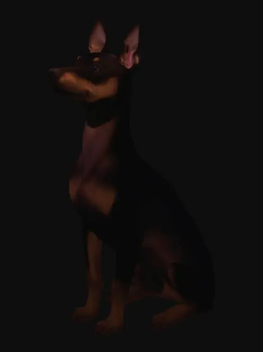 3D model for Zoe