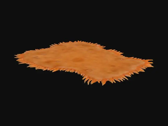 3D model for Shaggy Texture