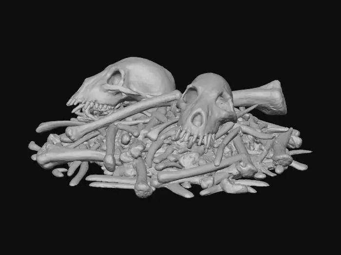 3D model for Remnants of Time