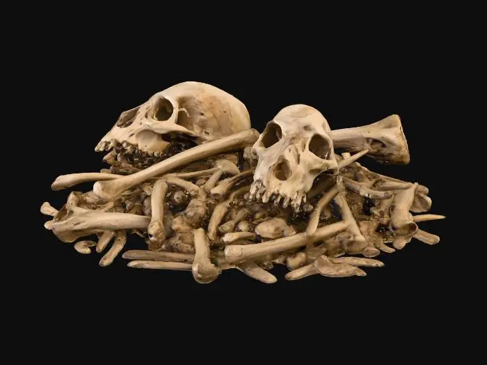 3D model for Remnants of Time