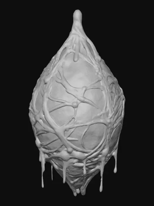 3D model for Cocoon Enigma