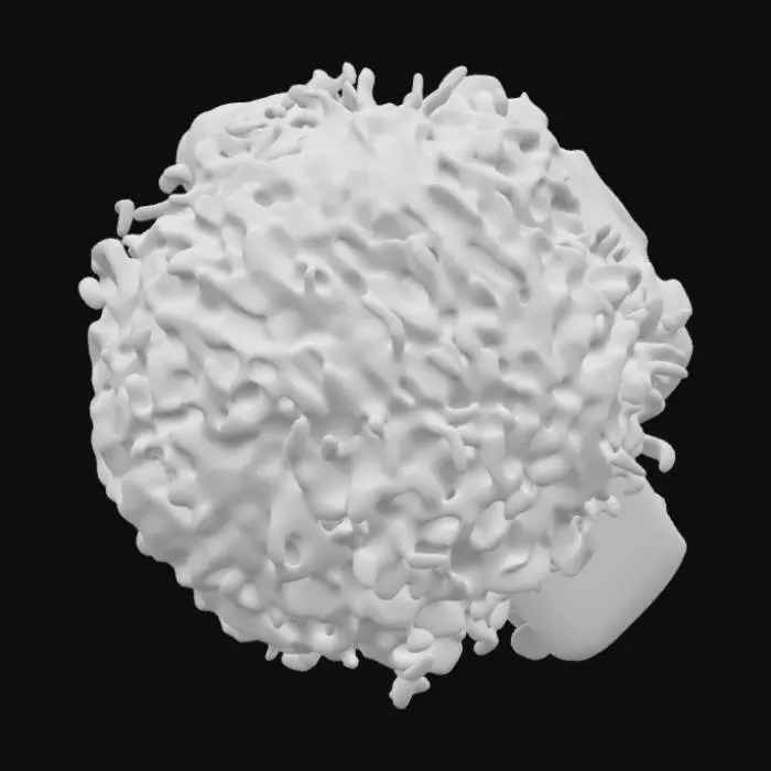 3D model for Realistic 3D model of a survivor in a post-apocalyptic world, inspired by The Last of Us style. The character is a woman with medium brown skin and black curly hair, wearing worn-out and practical clothing, including a tattered leather jacket, an old backpack, and a cloth band tied around her arm. Her expression is determined, with dirt smudges and light scars on her face, showing her experience in a brutal world. The model should have detailed textures on fabrics and skin, realistic proportions