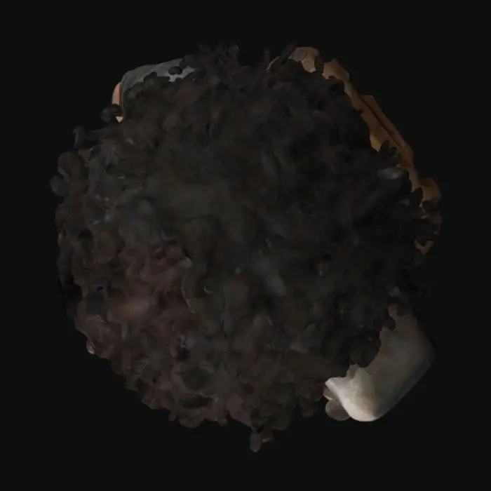 3D model for Realistic 3D model of a survivor in a post-apocalyptic world, inspired by The Last of Us style. The character is a woman with medium brown skin and black curly hair, wearing worn-out and practical clothing, including a tattered leather jacket, an old backpack, and a cloth band tied around her arm. Her expression is determined, with dirt smudges and light scars on her face, showing her experience in a brutal world. The model should have detailed textures on fabrics and skin, realistic proportions