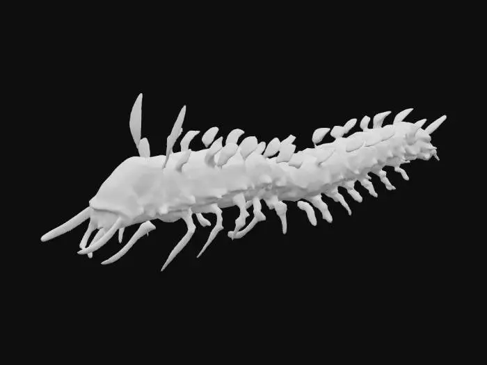 3D model for Bioluminescent Caterpillar Journey
