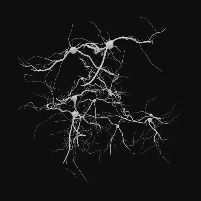 3D model for singularity_001