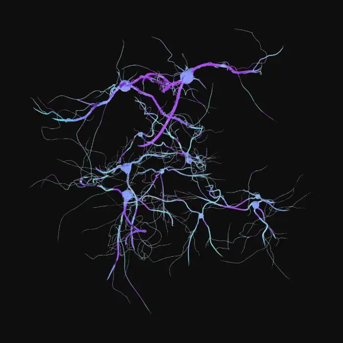 3D model for singularity_001