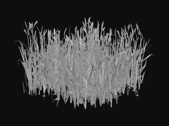 3D model for Sunlit Pathway Through the Grass