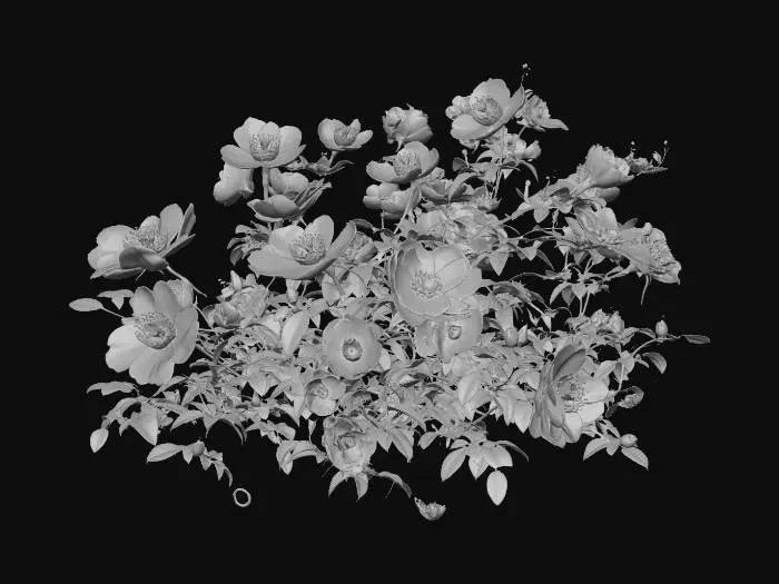 3D model for Summer Blooms