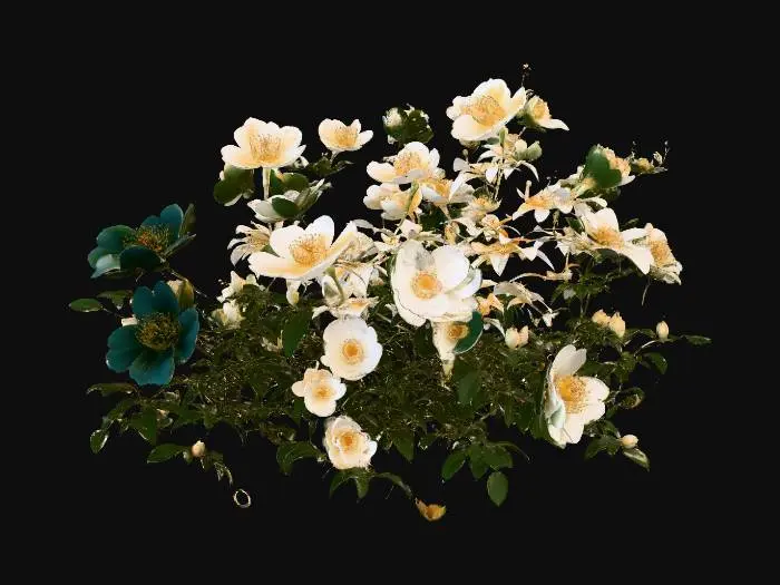 3D model for Summer Blooms