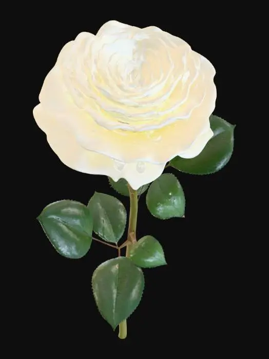 3D model for Solitary White Rose
