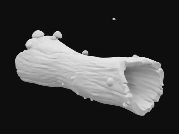 3D model for a down decaying mother log (40 feet long and 14 feet in diameter) hollowed on the inside; mushrooms growing on the outside shell; the bark chipping and pealing away