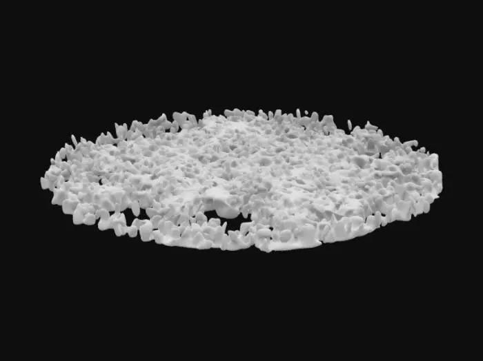 3D model for Small Sitka spruce and western hemlock saplings grow from rich, dark soil in a bordered plot. The spruce have thin, smooth trunks and soft green needles; the hemlock have slender, drooping branches with flat needles. Around them sprout low dwarf dogwood and young fireweed. The soil is damp with mulch, and water droplets cling to the leaves. All plants are healthy, small, and reaching toward the light.