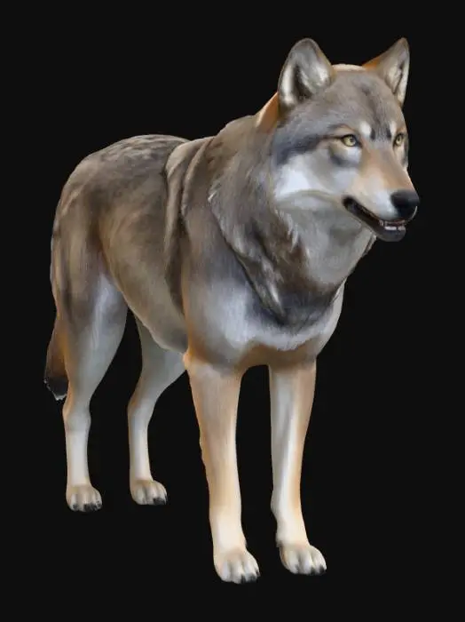 3D model for Wolf Majesty