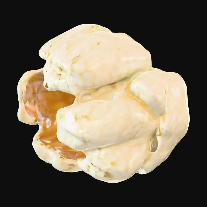 3D model for Popcorn Kernel Close-Up