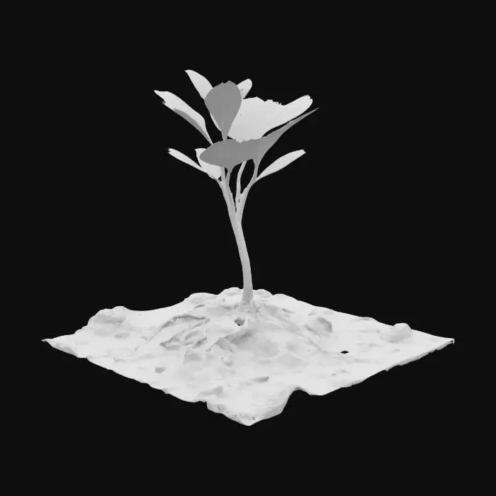 3D model for Emergence