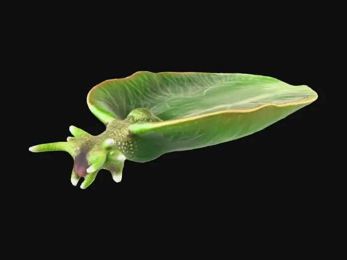 3D model for Green Elegance